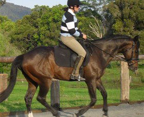 Kings Creek Saddle Club - Find Attractions 6