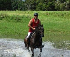 Kings Creek Saddle Club - Find Attractions 4