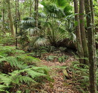Durras Lake Discovery trail - Find Attractions