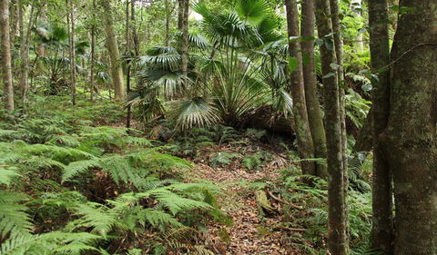 Durras Lake Discovery Trail - Find Attractions 0