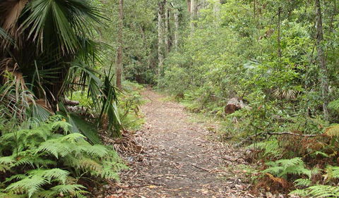 Durras Lake Discovery Trail - Find Attractions 1