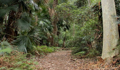 Durras Lake Discovery Trail - Find Attractions 2