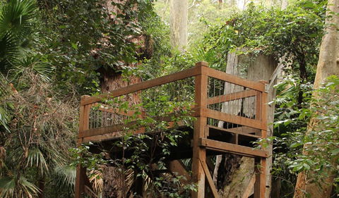 Durras Lake Discovery Trail - Find Attractions 3