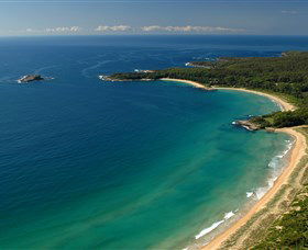 Cookies Beach Picnic Area - South Durras - Find Attractions 0
