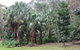 Booderee National Park Botanic Gardens - thumb 4