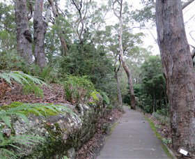 Booderee National Park Botanic Gardens - Find Attractions 3