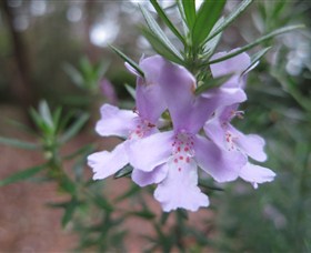 Booderee National Park Botanic Gardens - Find Attractions 5
