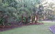 Booderee National Park Botanic Gardens - thumb 8