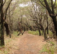 Pretty Beach to Snapper Point walking track - Find Attractions