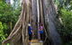 Wingham Brush Nature Reserve - thumb 1