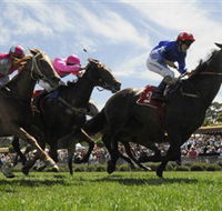 Moruya Racecourse - Find Attractions