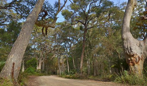 North Head Lookout - Find Attractions 1