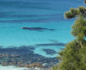 Jervis Bay Marine Park - Find Attractions 0