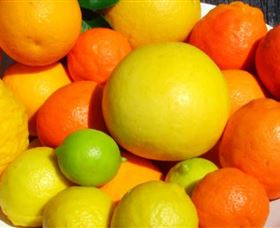 Fruit Salad Tree Company - Find Attractions 2