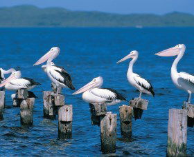 Walpole-Nornalup Inlets - Find Attractions 1