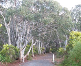 Booderee National Park: Munyunga Waraga Dhugan Walking Trail - Find Attractions 3