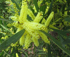 Booderee National Park: Munyunga Waraga Dhugan Walking Trail - Find Attractions 1