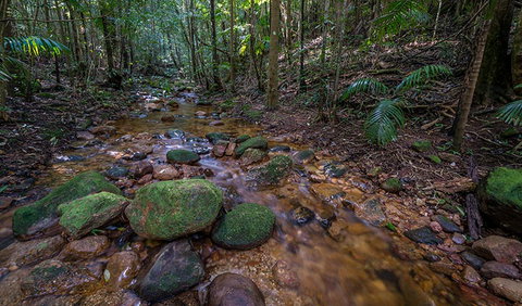 Starrs Creek Picnic Area - Find Attractions 0