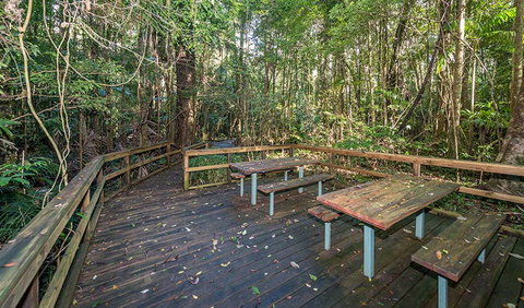 Starrs Creek Picnic Area - Find Attractions 1