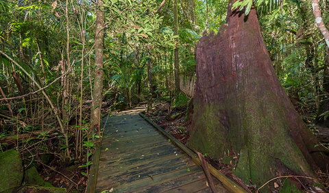 Starrs Creek Picnic Area - Find Attractions 2