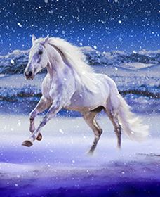 Australian Outback Spectacular: High Country Legends - Find Attractions 1