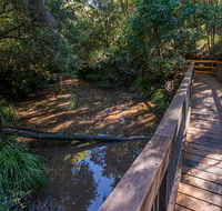 Ms Kellys walking track - Find Attractions