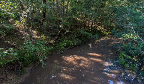 Ms Kellys Walking Track - Find Attractions 2