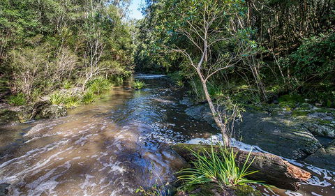 Brimbin Picnic Area - Find Attractions 2