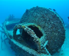 Curtain Artificial Reef Dive Site - Find Attractions 3