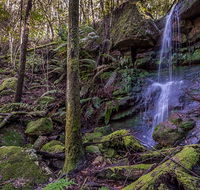 Coorabakh National Park - Find Attractions