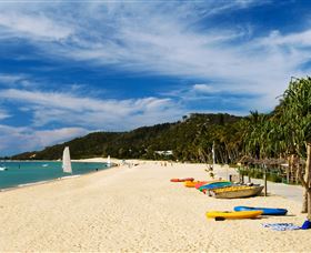 Tangalooma Dolphin Feeding - Find Attractions 2