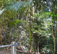 Goorgana walking track - Find Attractions