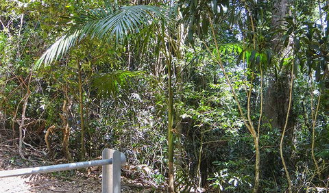 Goorgana Walking Track - Find Attractions 0