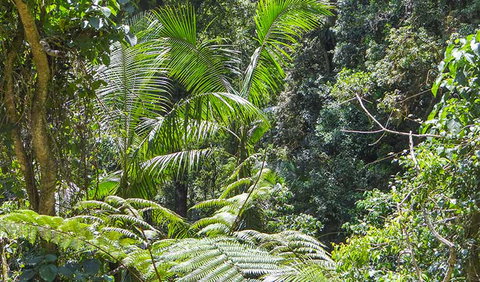 Goorgana Walking Track - Find Attractions 1