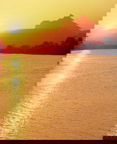 Wollumbin-Mount Warning National Park - Find Attractions 2