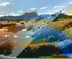 Wollumbin-Mount Warning National Park - Find Attractions 1