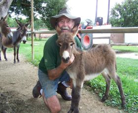 Crystal Creek Miniatures - Find Attractions 2