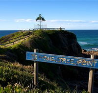 One Tree Point Lookout and Picnic Area - Find Attractions