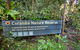 Rainforest Walk - thumb 1