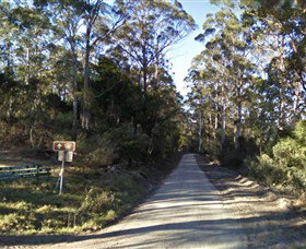 Box Cutting Rainforest Walk Kianga