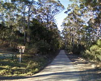 Box Cutting Rainforest Walk