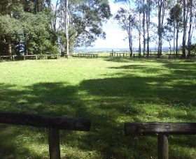 Aboriginal Bora Ring Tucki Tucki