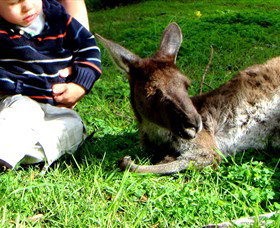 Bunbury Wildlife Park South Bunbury