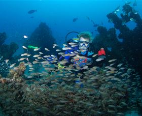 Aarhus Dive Site - Find Attractions 0