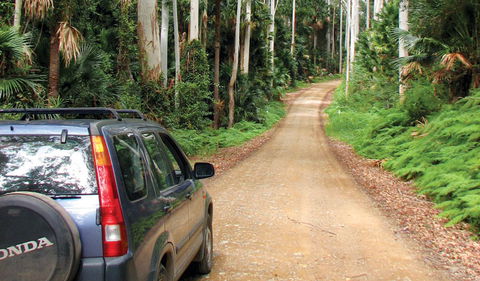 Wallingat National Park - Find Attractions 2