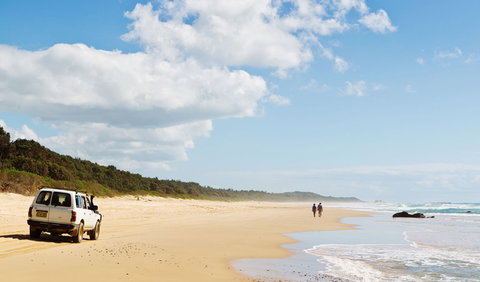 Bongil Bongil National Park - Find Attractions 0
