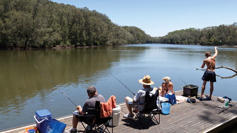 Bongil Bongil National Park - Find Attractions 1