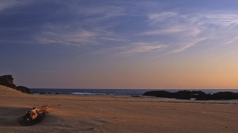 Bongil Bongil National Park - Find Attractions 2
