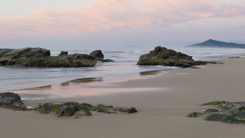 Bongil Bongil National Park - Find Attractions 3