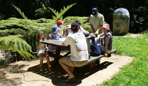 The Pines Picnic Area - Find Attractions 0